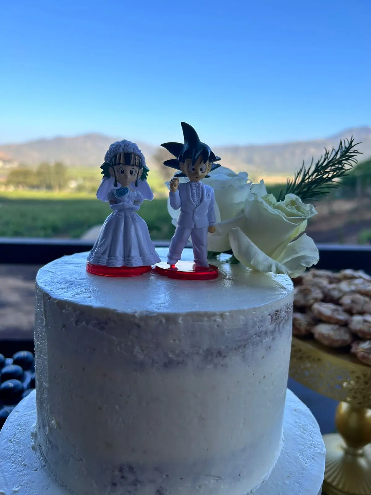 Valle de Guadalupe Wedding Planner | Baja Wedding Planning