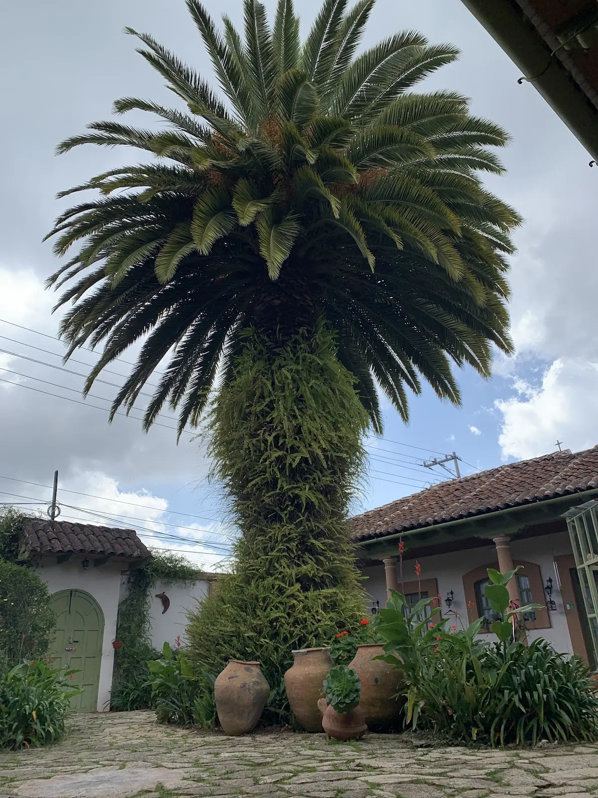 Casa Flora María