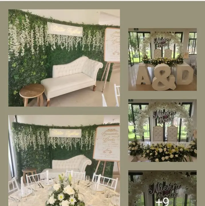 Salón Jardín Lluvia