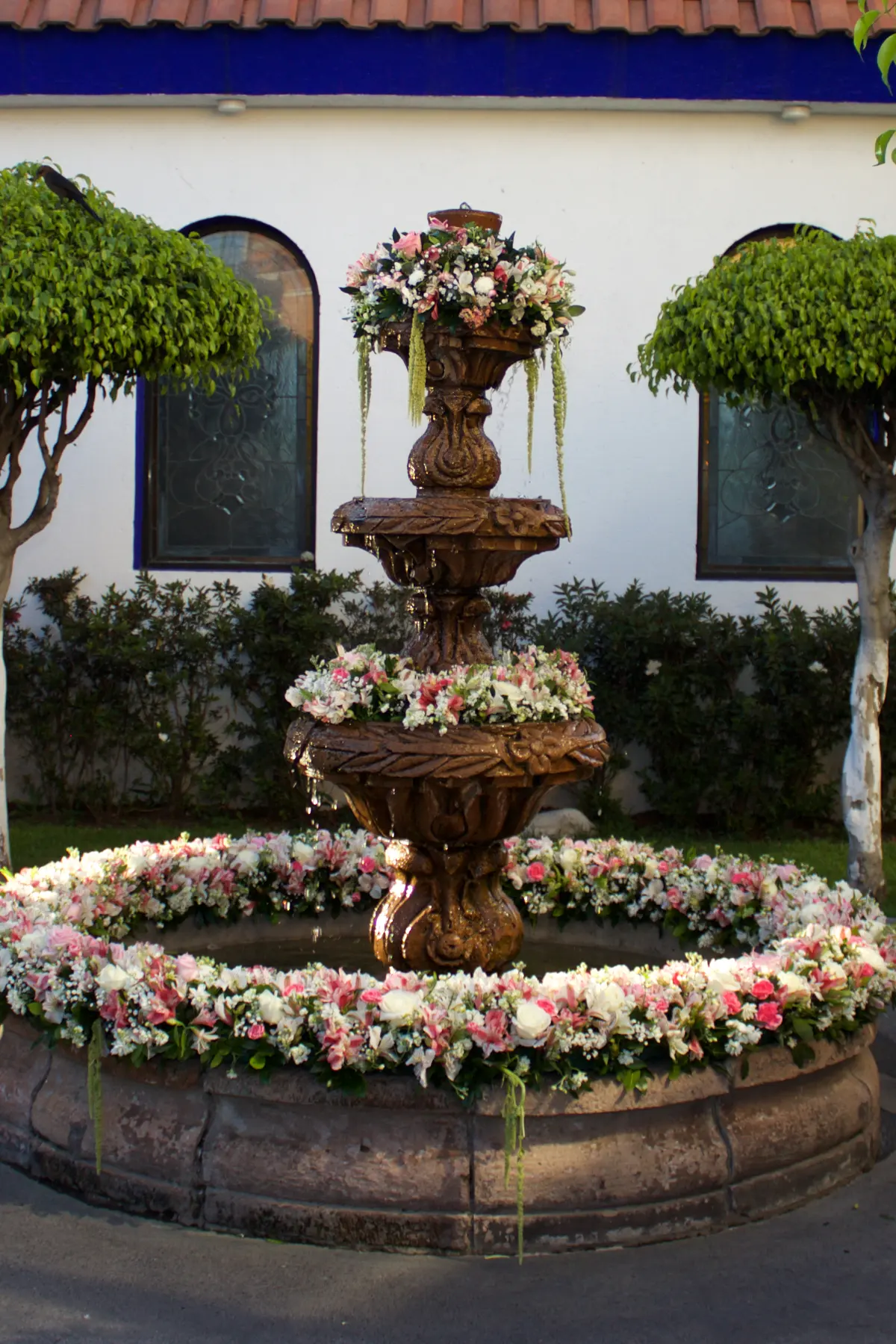 Eventos Luceros Coyoacán