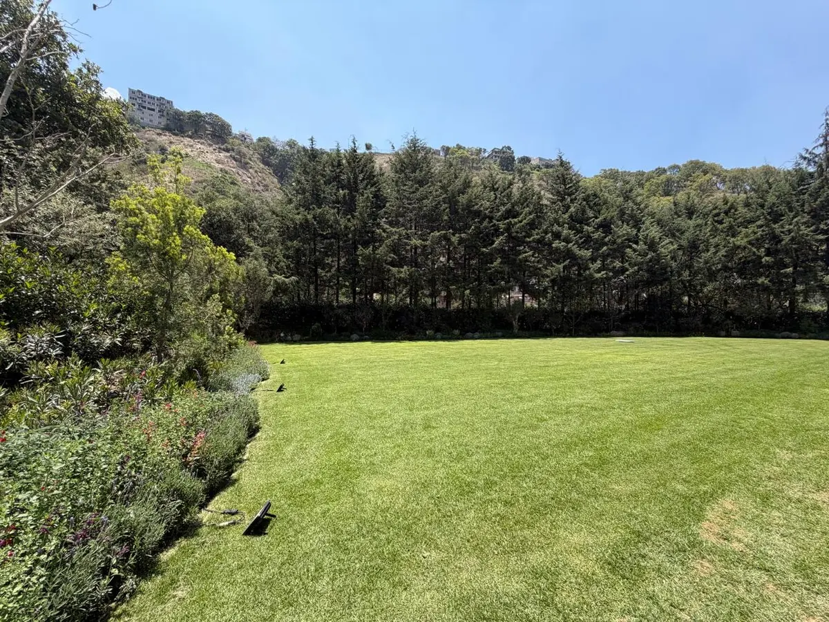 Jardín Ziba — foto 4 de 7