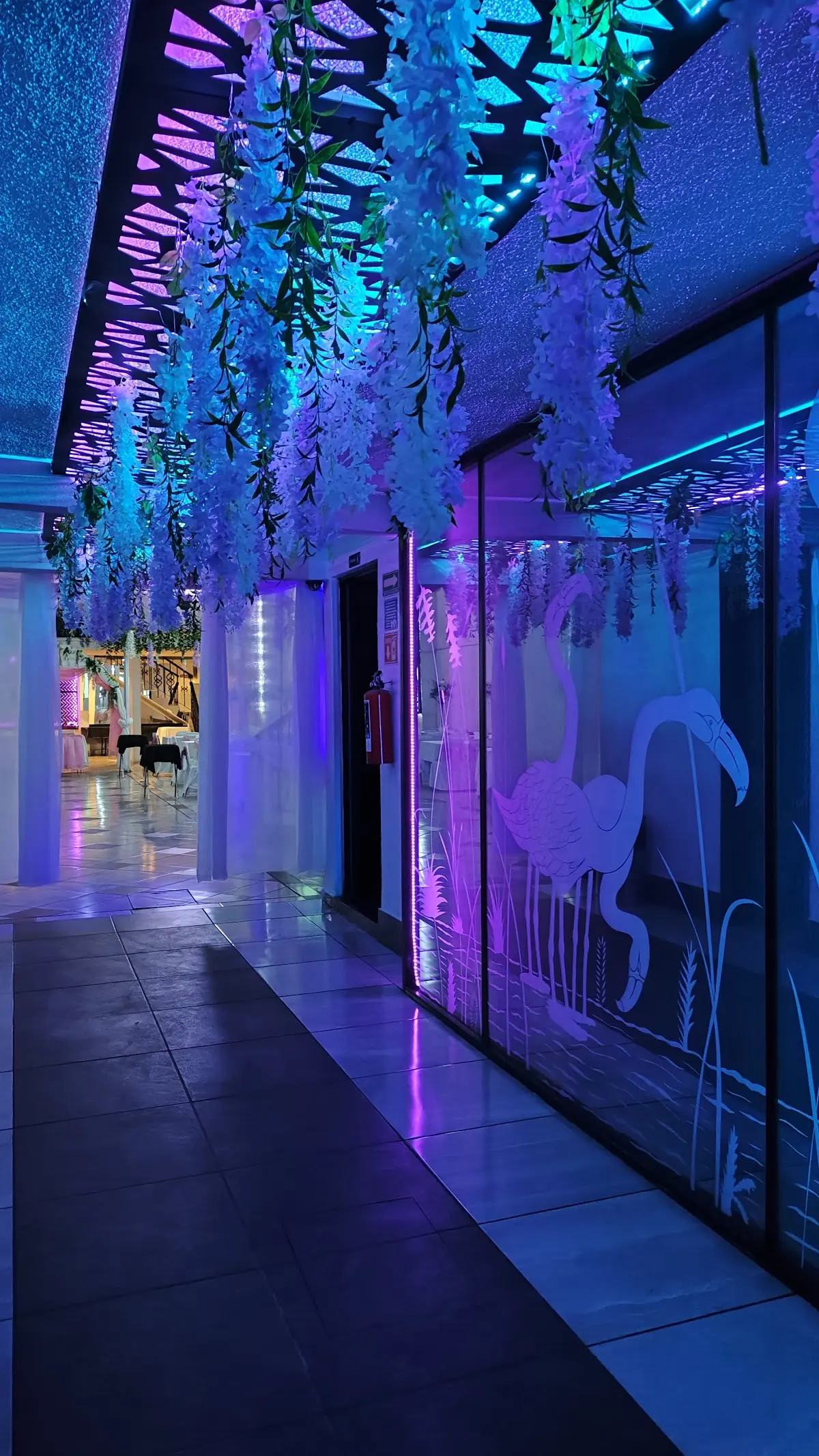 Salón Jardín Flamingos (Salones De Fiestas)