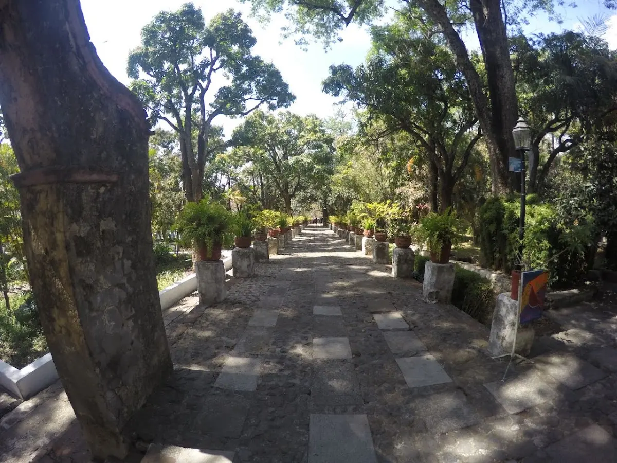 Cortijo Santa Teresa, Eventos Sociales