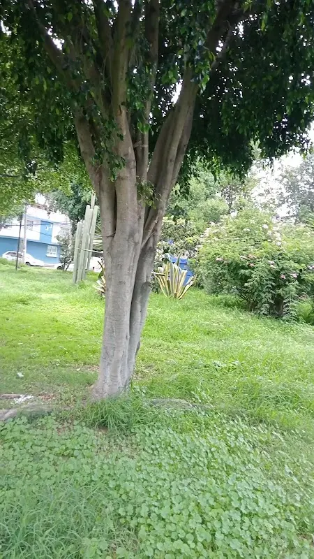Jardín Zacapa