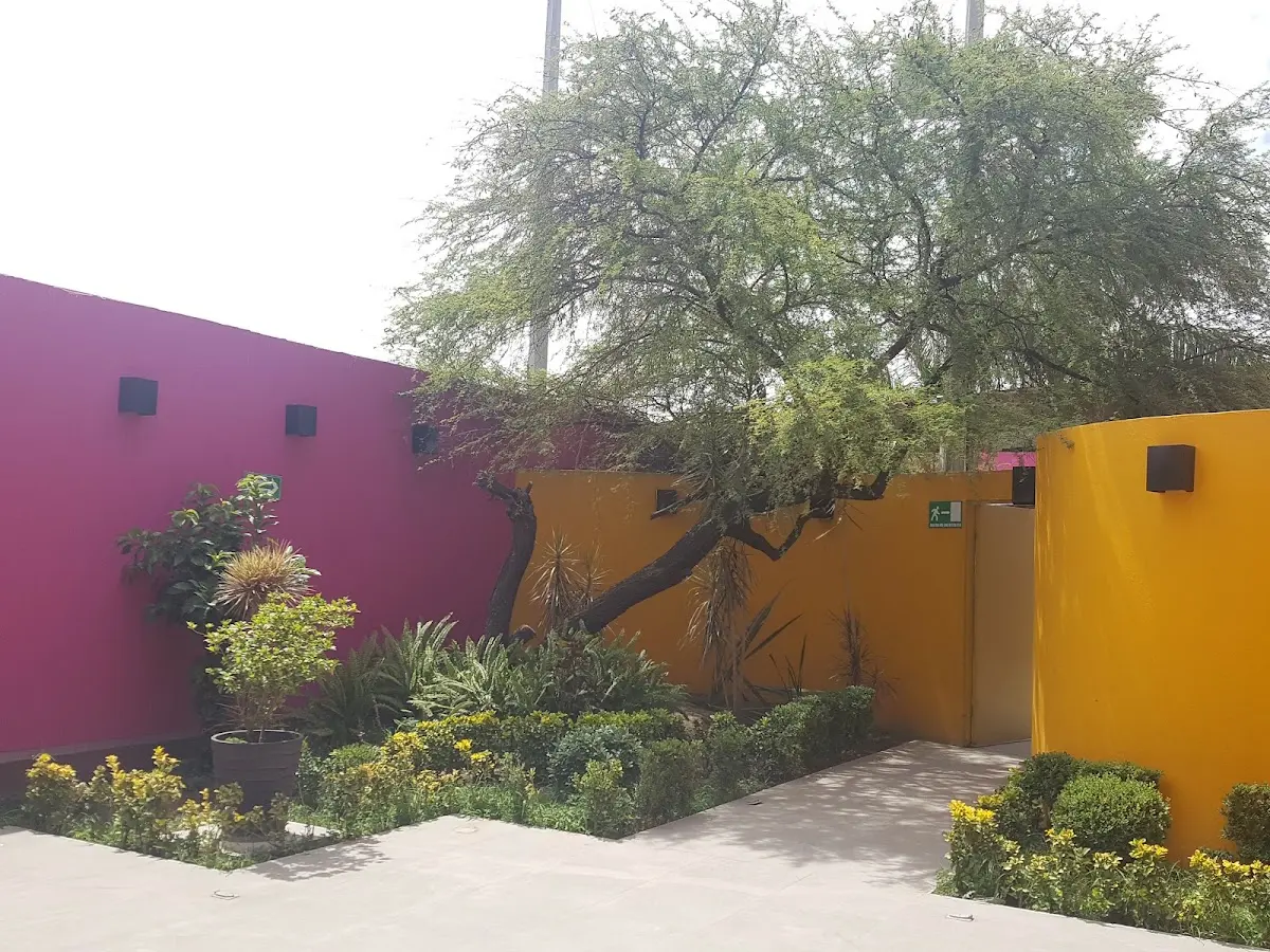 Salon Palma Garden — foto 3 de 3