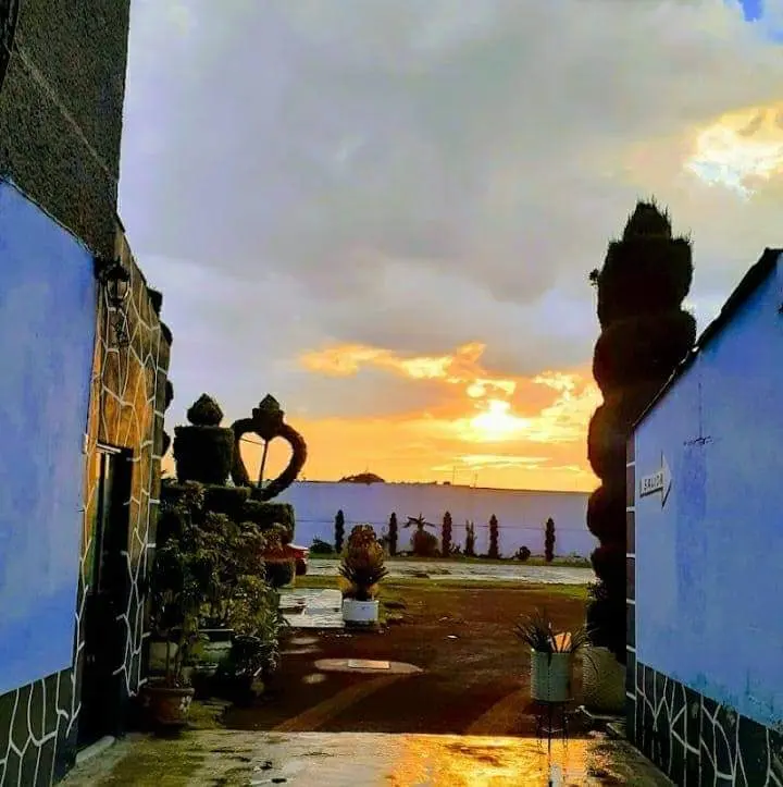 Jardín Los Corazones