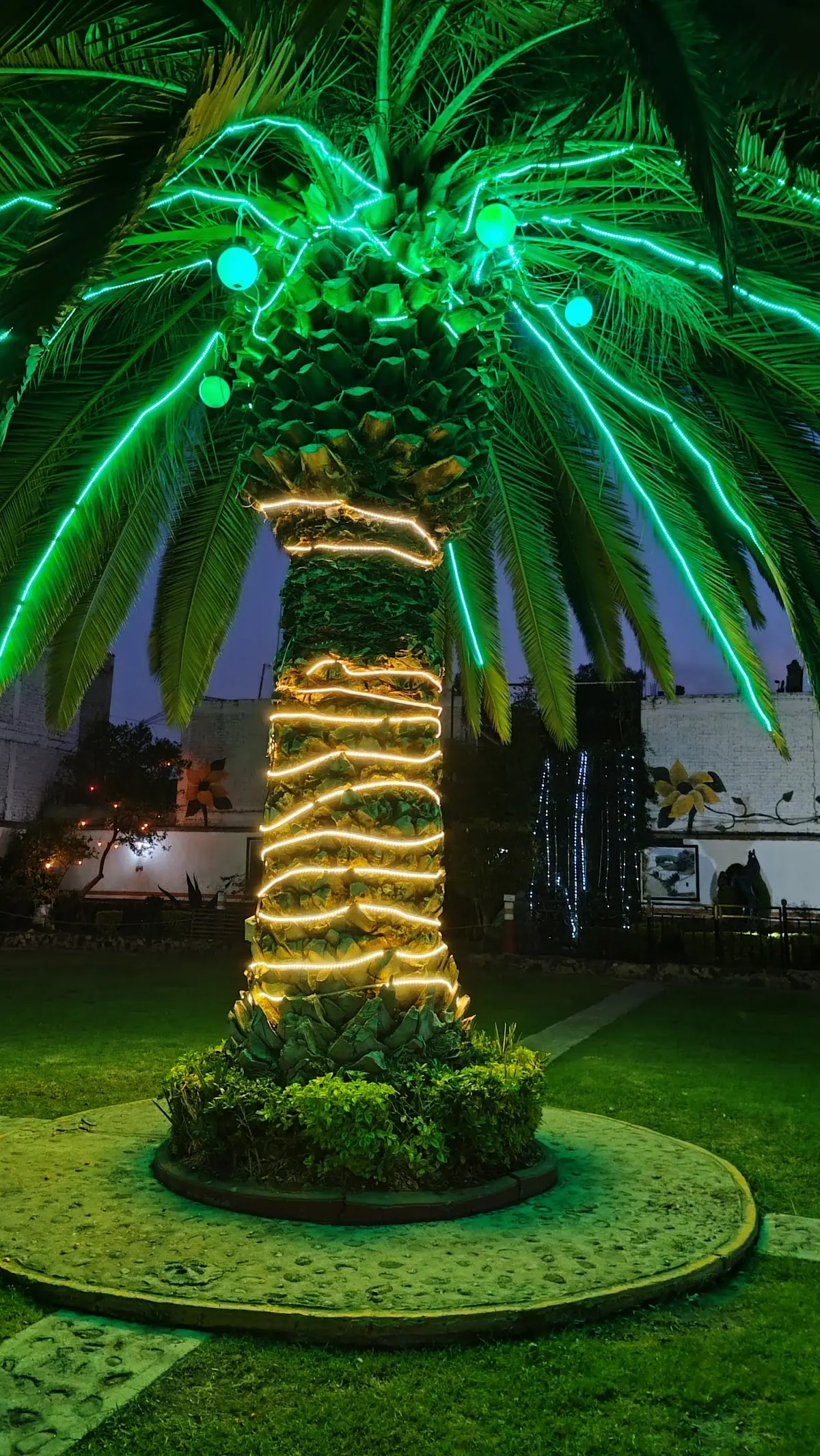 Jardín Rancho Don Alfonso — foto 3 de 3