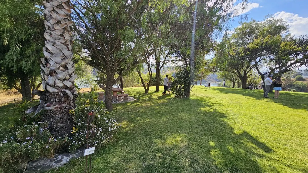 Jardín El Ciprés