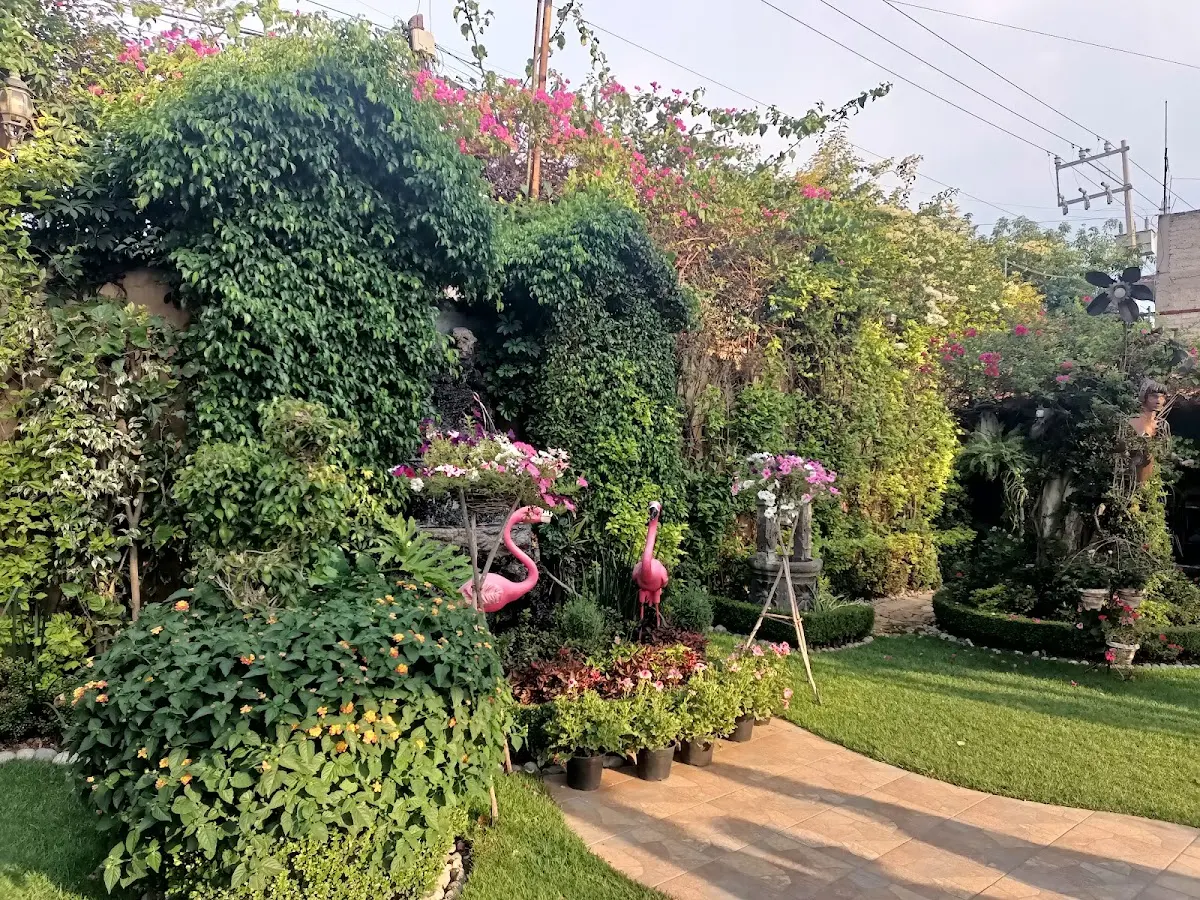 Salón Jardin México Lindo