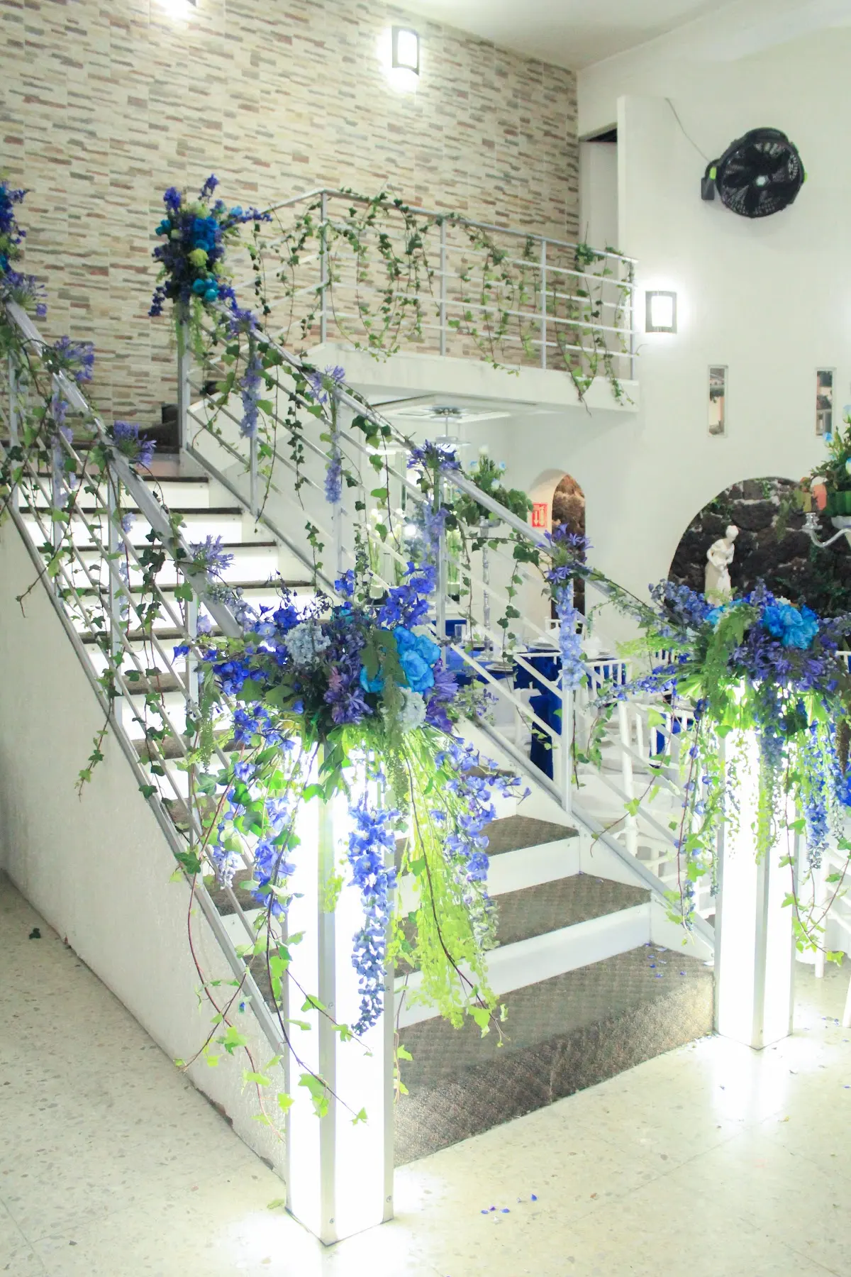 Salón Alexanis