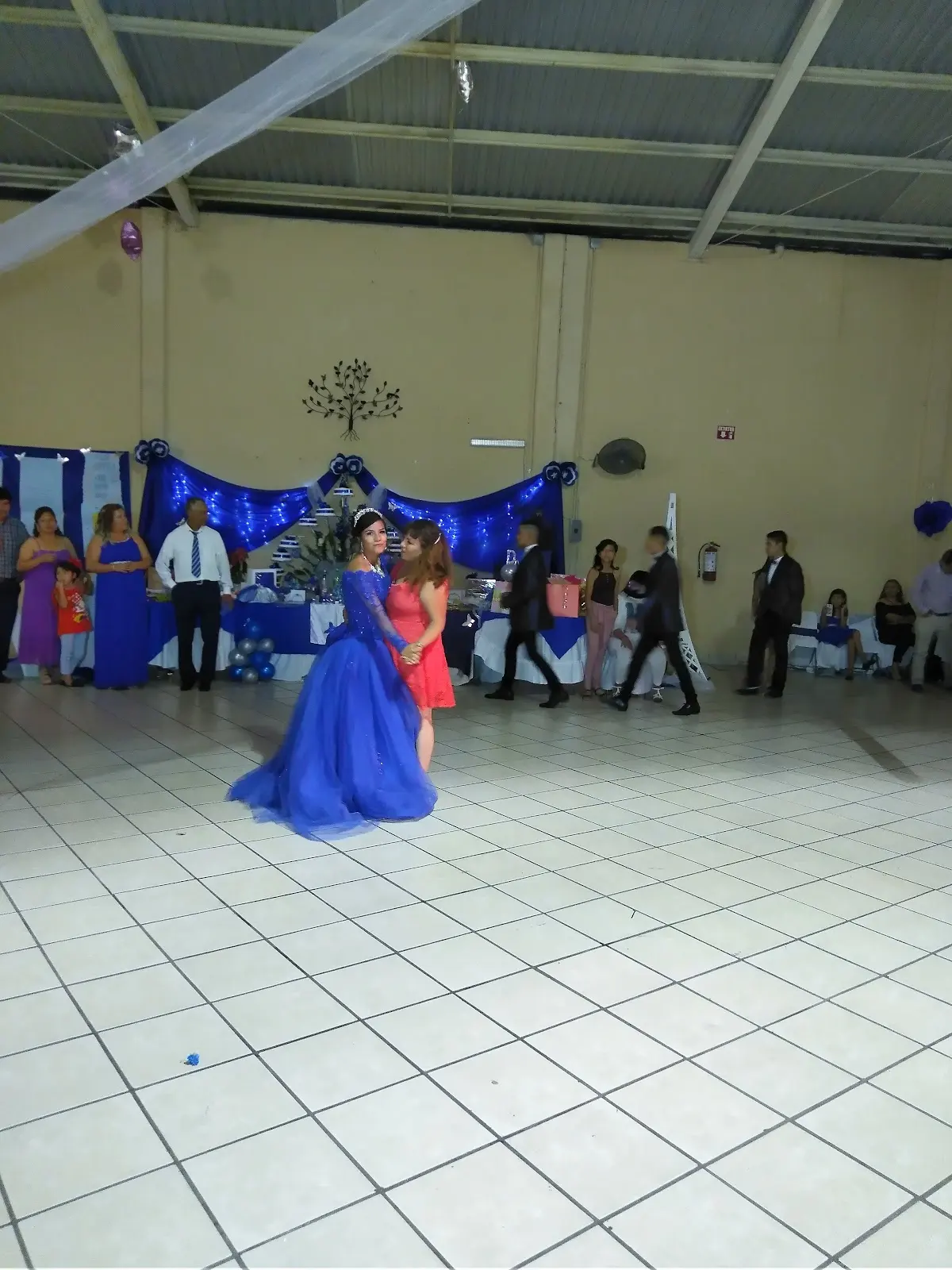 Salon Para Fiestas Alamos