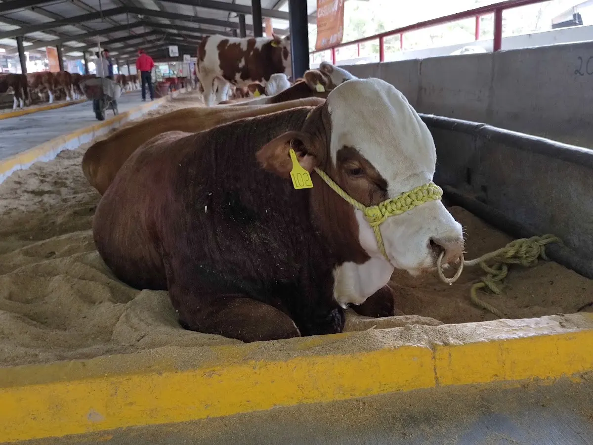 Instalaciones De La Feria Lagos De Moreno