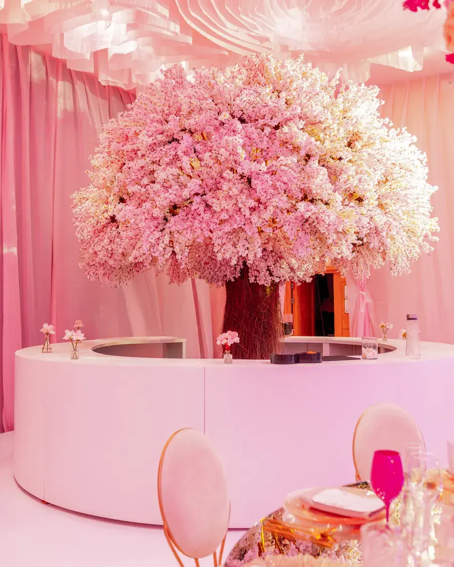 dulcemiap.v eventos — foto 4 de 7