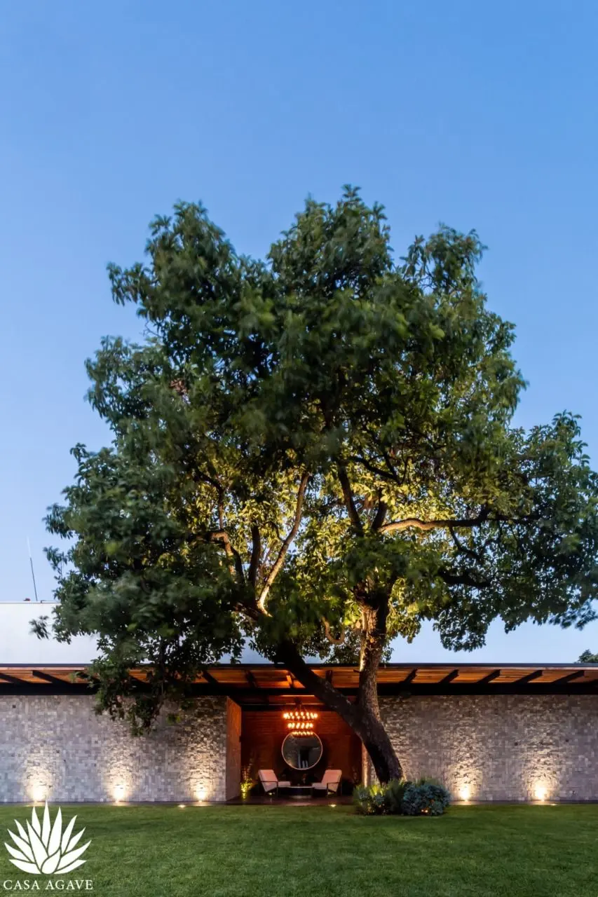 CASA AGAVE EVENTOS