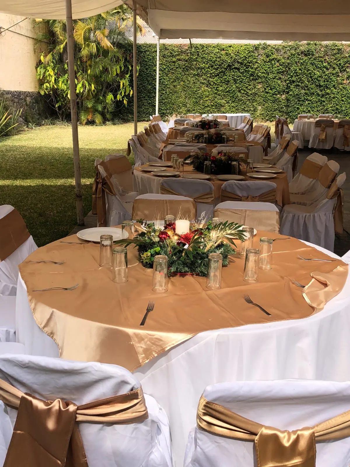 Allegro Jardín