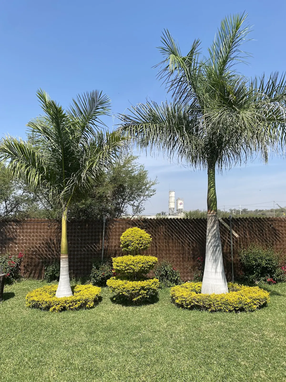 Jardín Caribú — foto 3 de 3