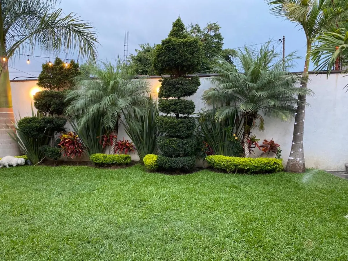 Jardin Palmas de Reyes — foto 2 de 3