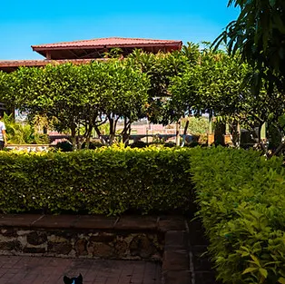 Quinta Don Balta — foto 4 de 4