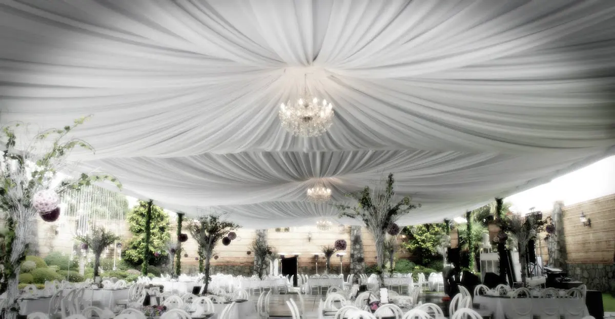 Arecas, Cuernavaca.