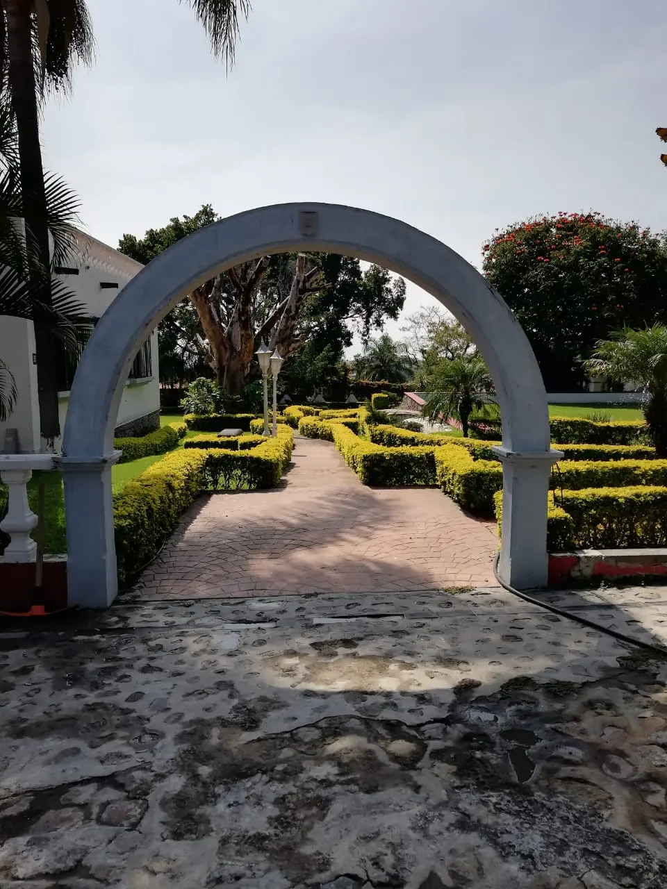 Hacienda Los Violines