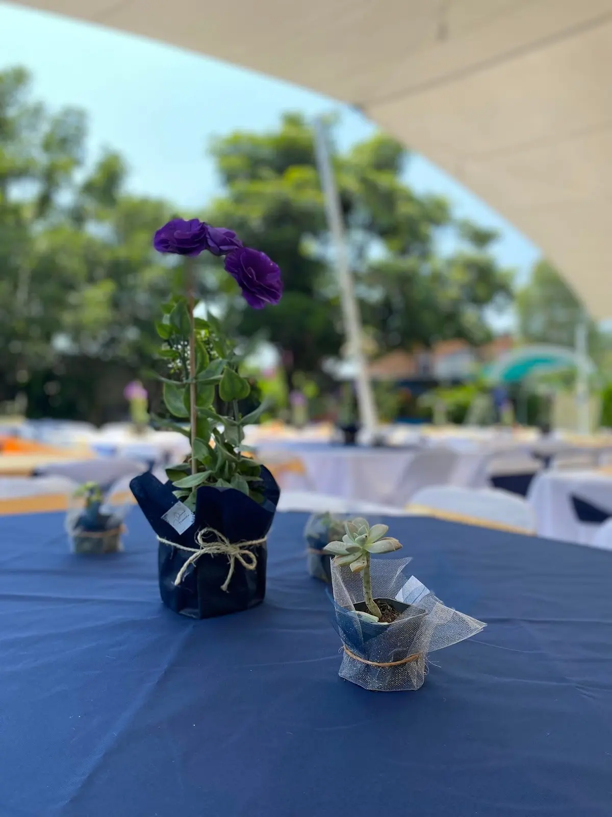 Jardín de eventos las Riocas