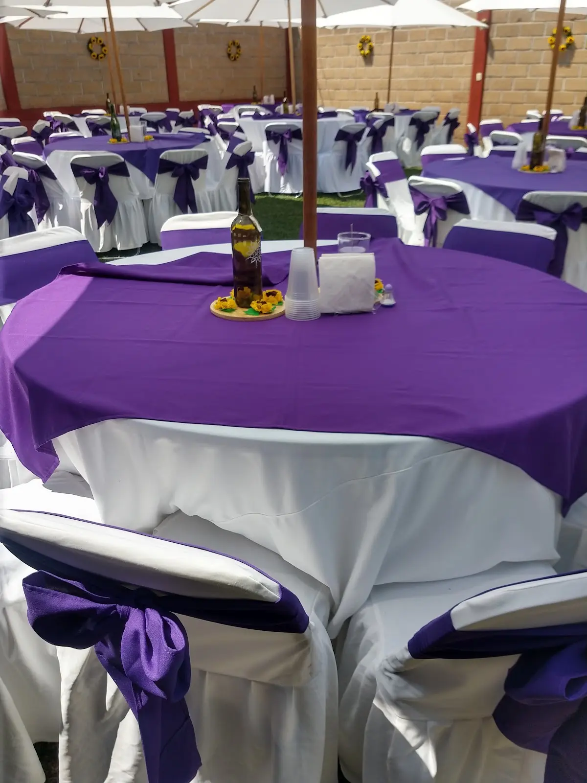 jardin de fiestas ayelen