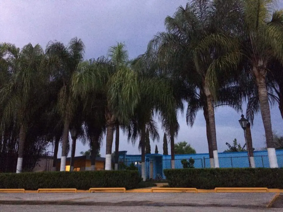 Quinta Matz — foto 4 de 4