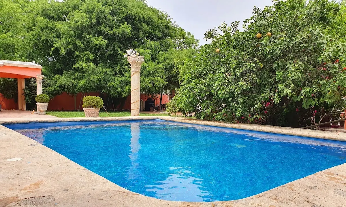 Quinta Ludy — foto 2 de 3