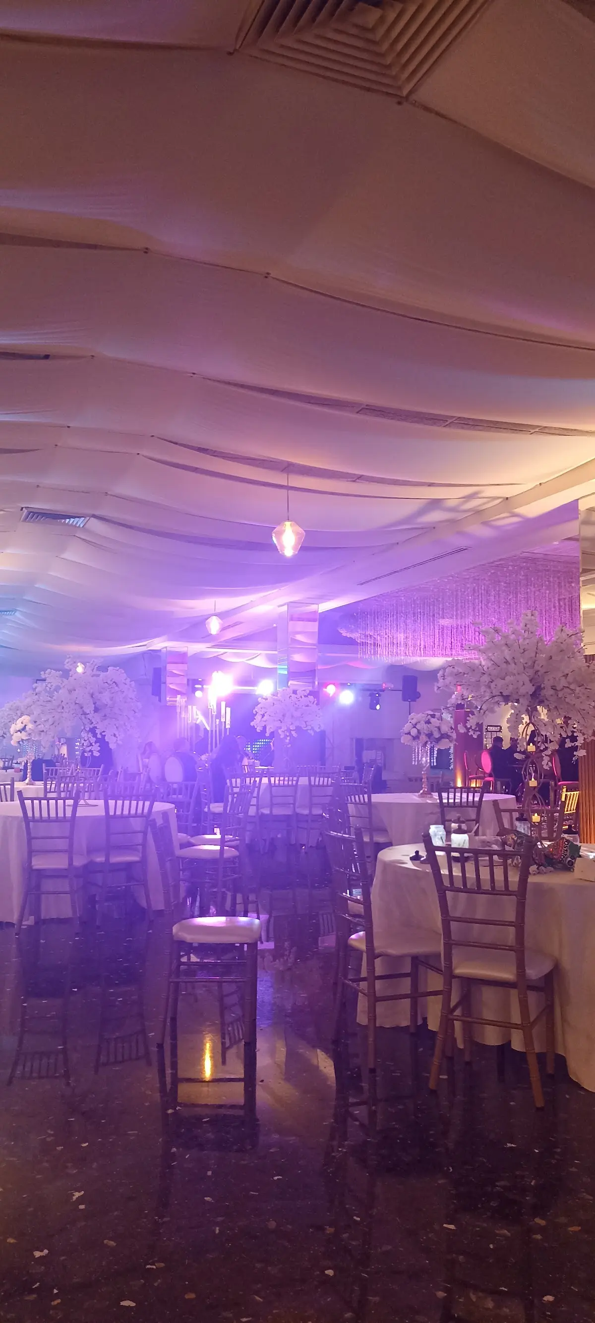 Elite Eventos "Lux"