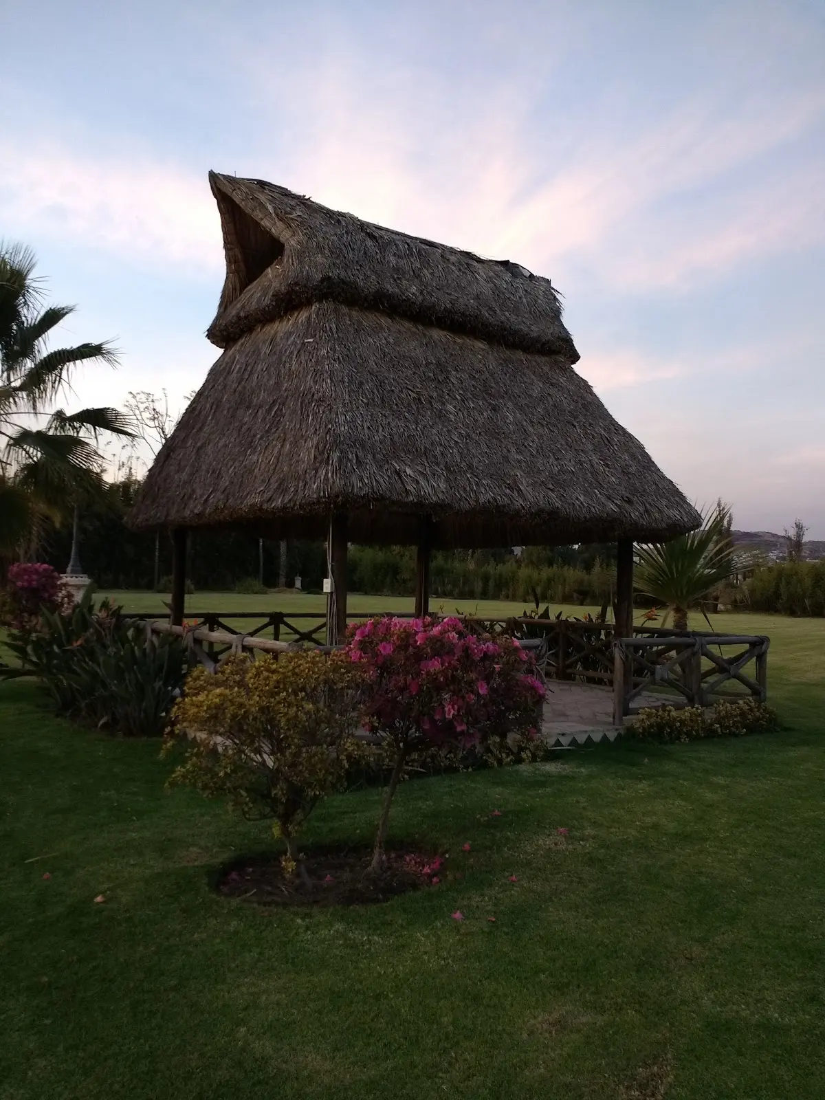 Jardin De Cielo