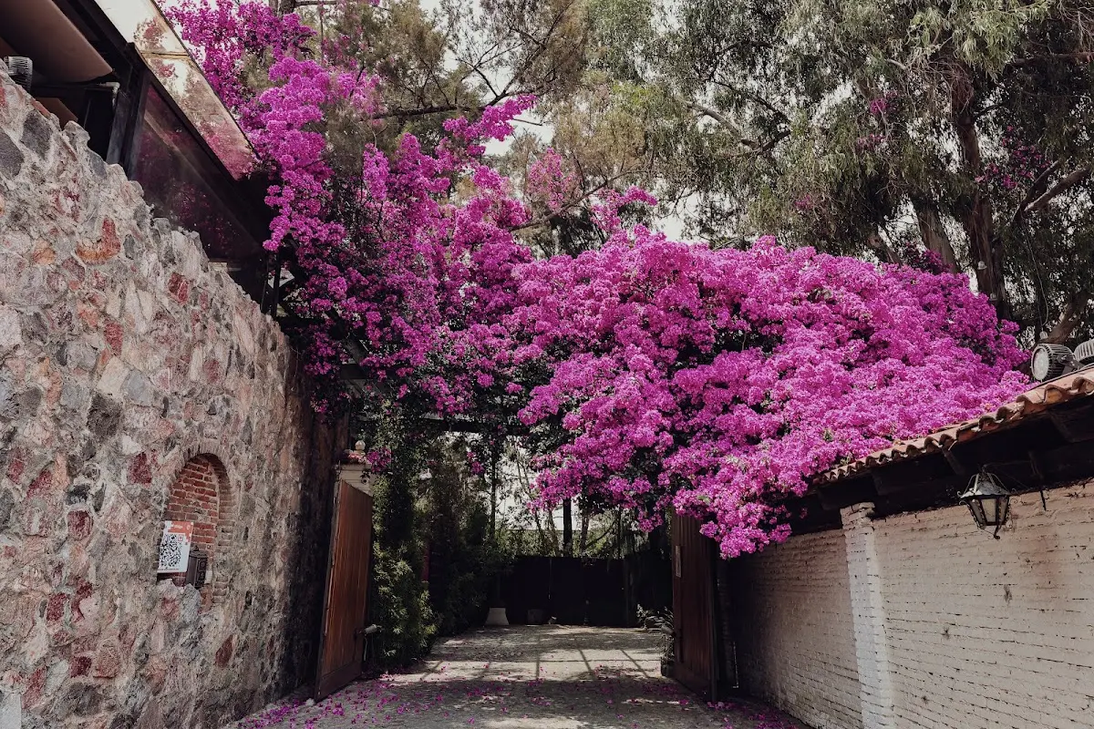Hacienda San Jose Actipan