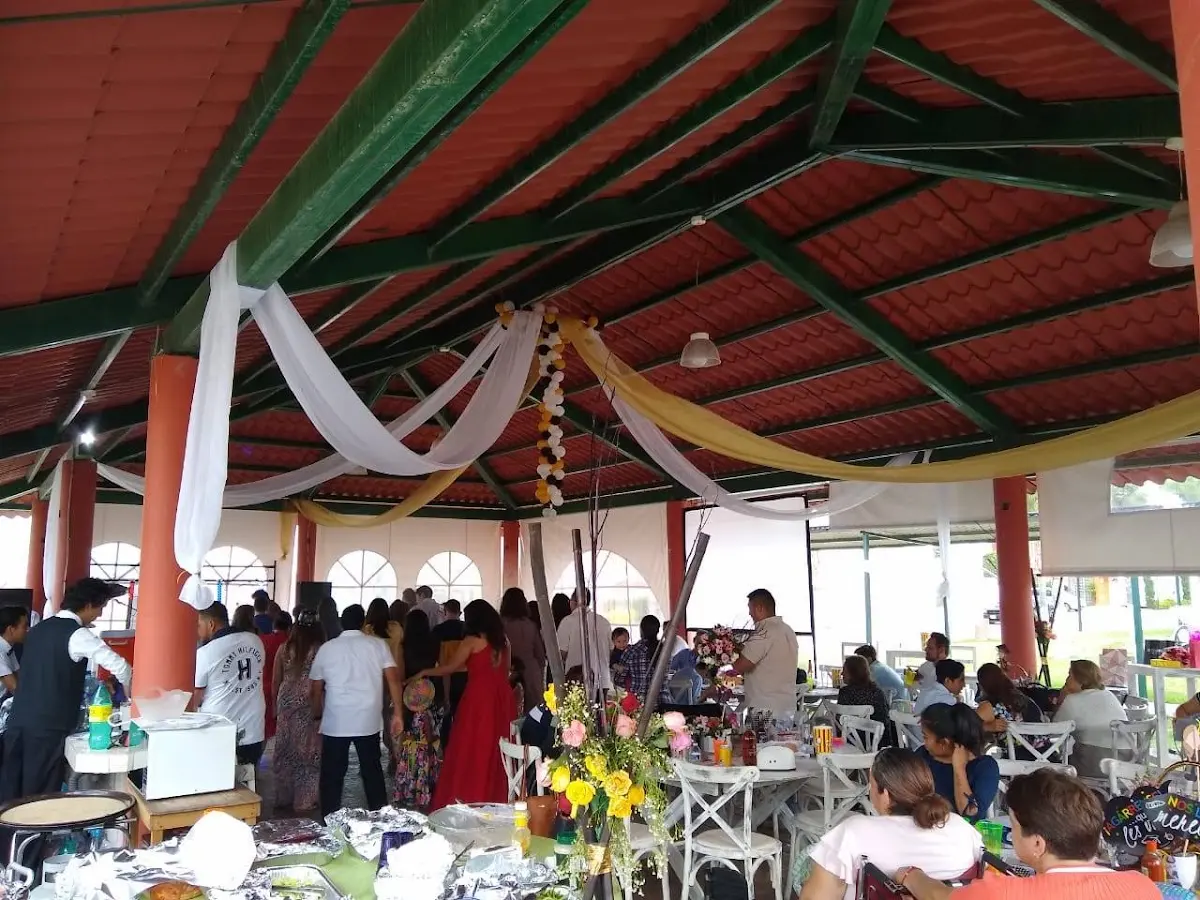 Servicio de Meseros