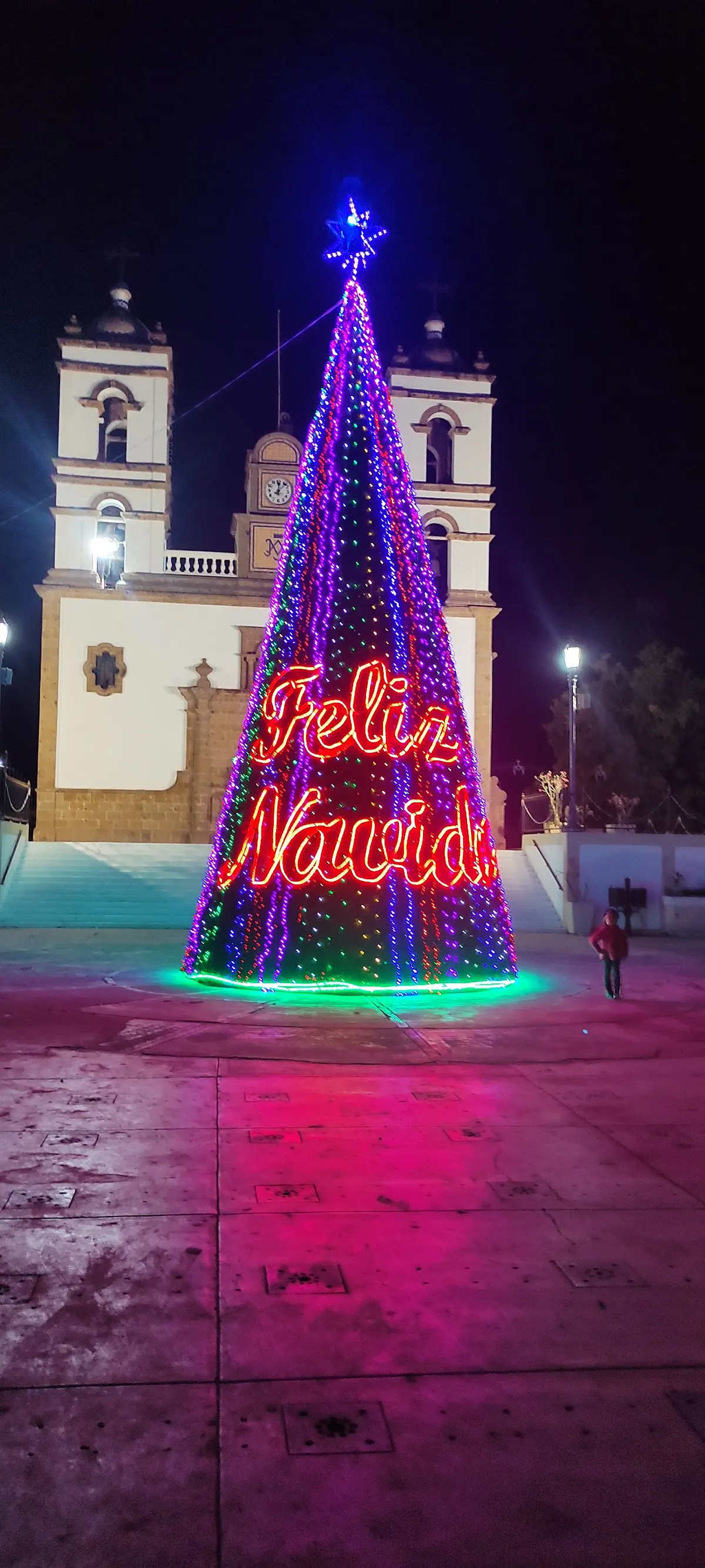 SERVICIO PROFESIONAL DE MESEROS HM GUASAVE