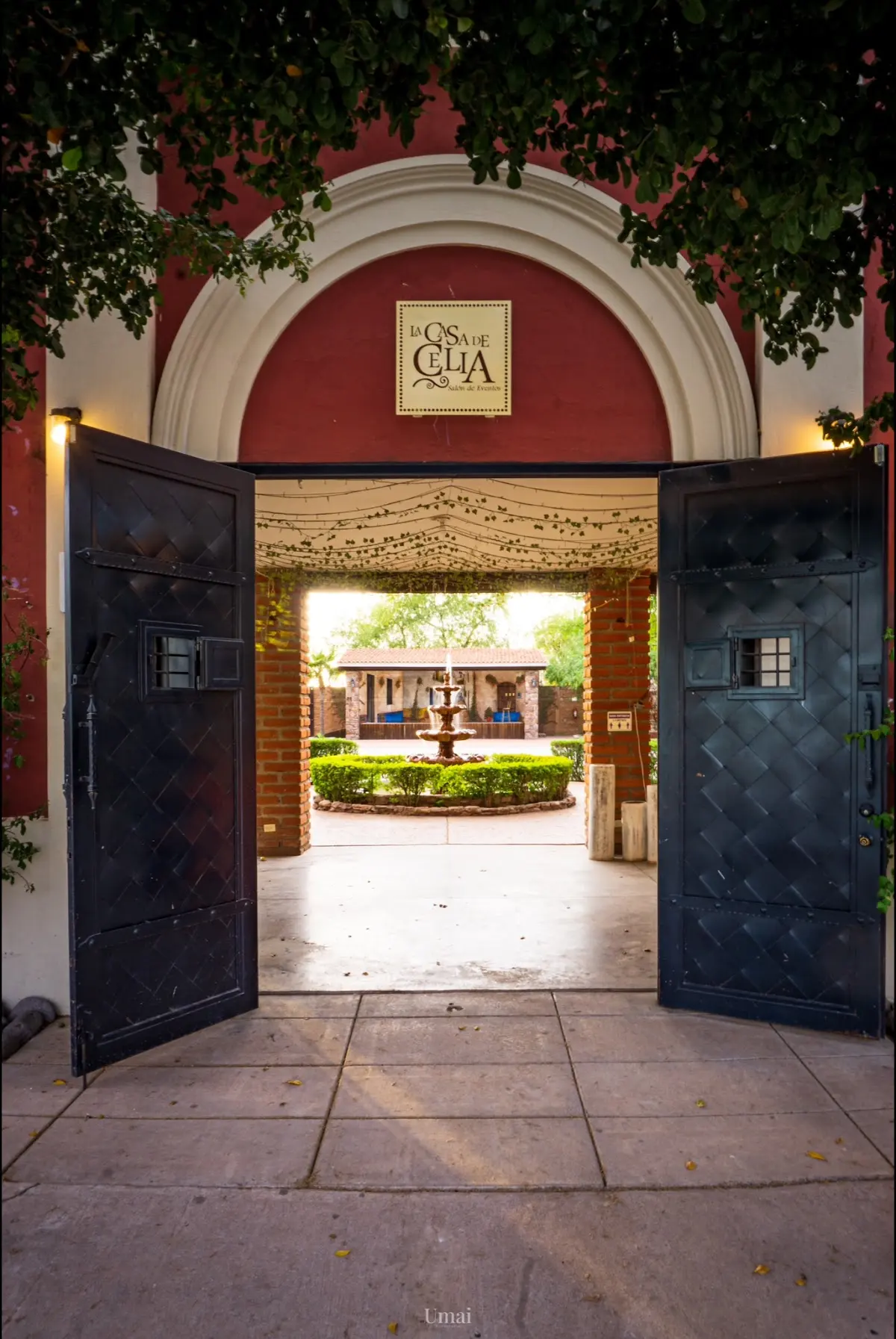 Salón de Eventos | La Casa de Celia | Jardín