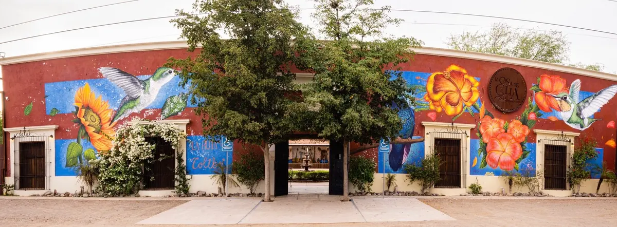 Salón de Eventos | La Casa de Celia | Jardín