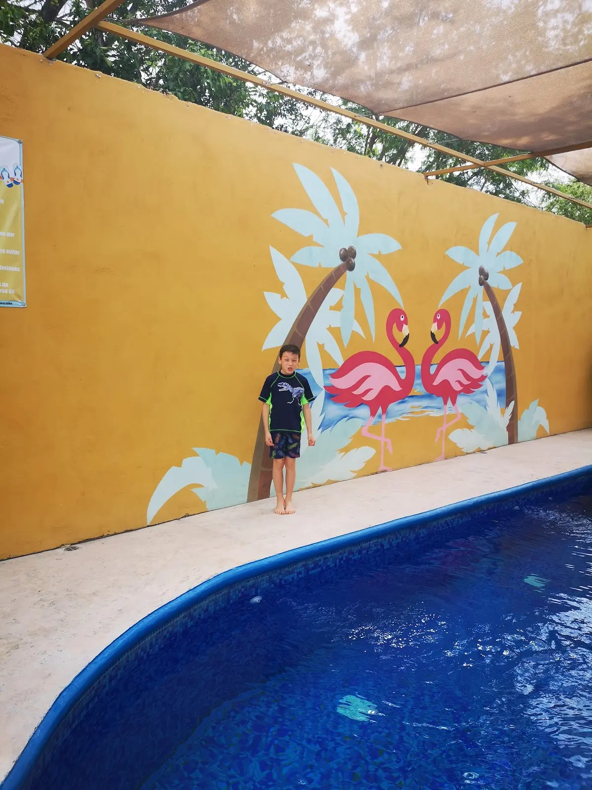 Flamingo's Salón de Eventos