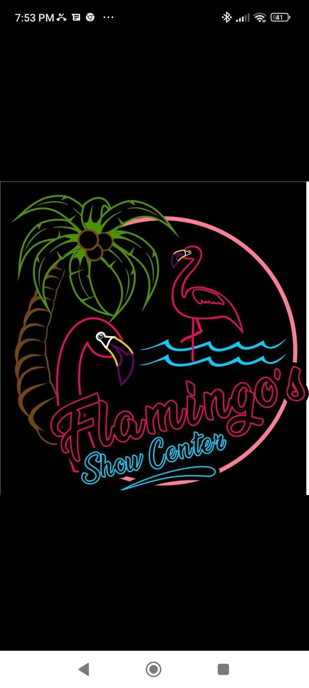 Flamingos Show Center