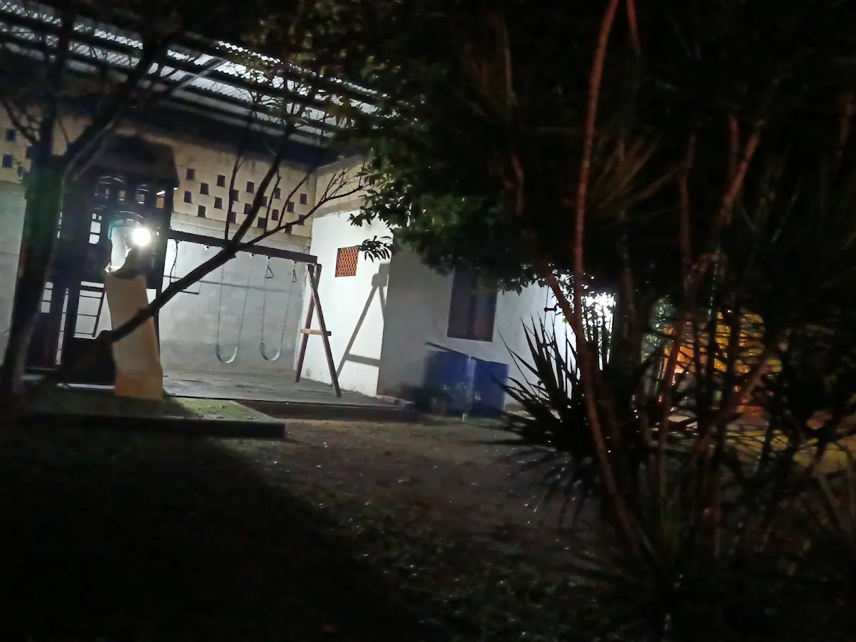 Lote 1 — foto 2 de 3