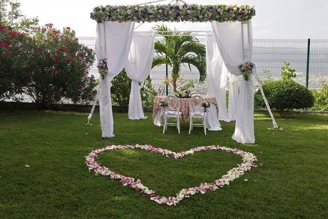 Alberi Jardin De Eventos