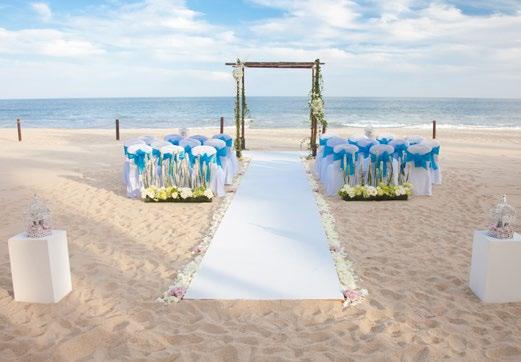 Cozumel Wedding Planner