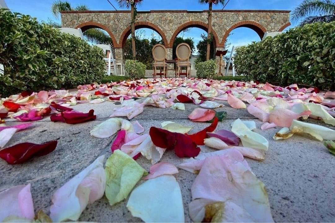 El árbol Salón Y Jardín De Eventos