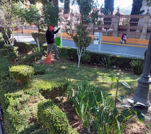 El Jardín De Hidalgo