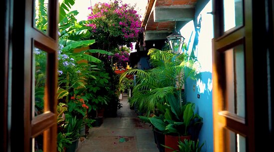 El Jardín De Letty