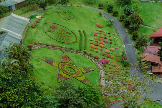 Gran Jardín