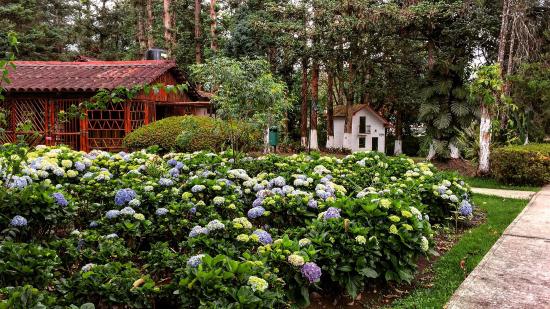 Hacienda Mi Ranchito