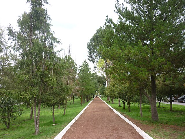 Jardín Carretas Ojo De Agua