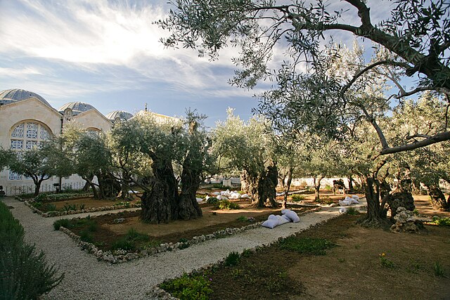 Jardín De Eventos El Huerto De Getsemaní