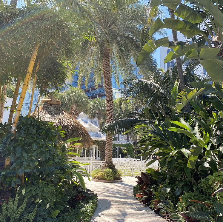 Jardín De Eventos Las Parotas