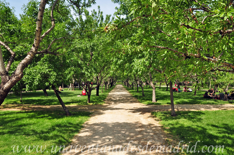 Jardín Paraíso La Noria