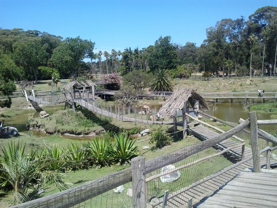 Jardin Santa Teresa